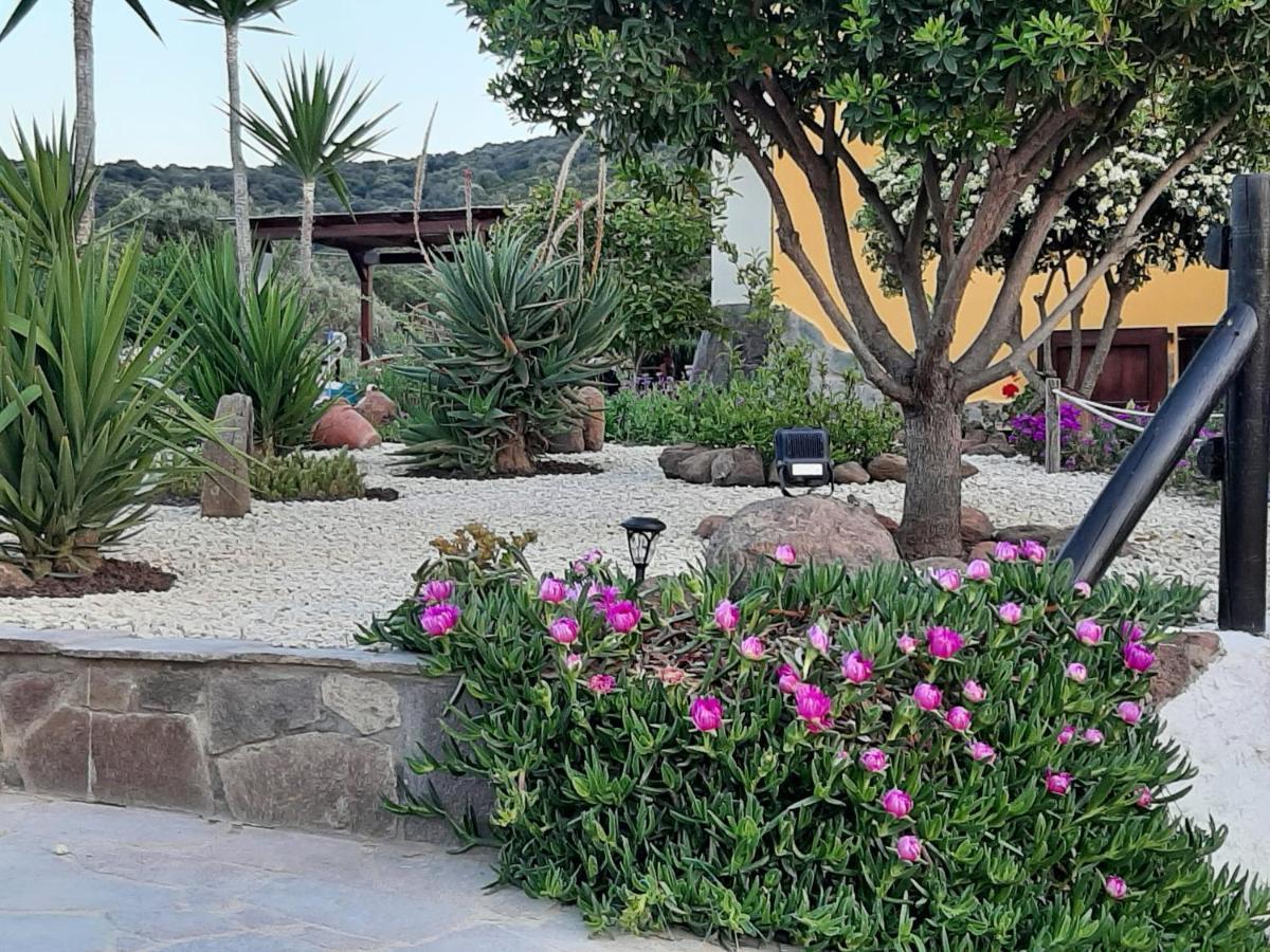 Villa Saige , Piscina Ad Uso Esclusivo, Con Idromassaggio Alghero Bagian luar foto