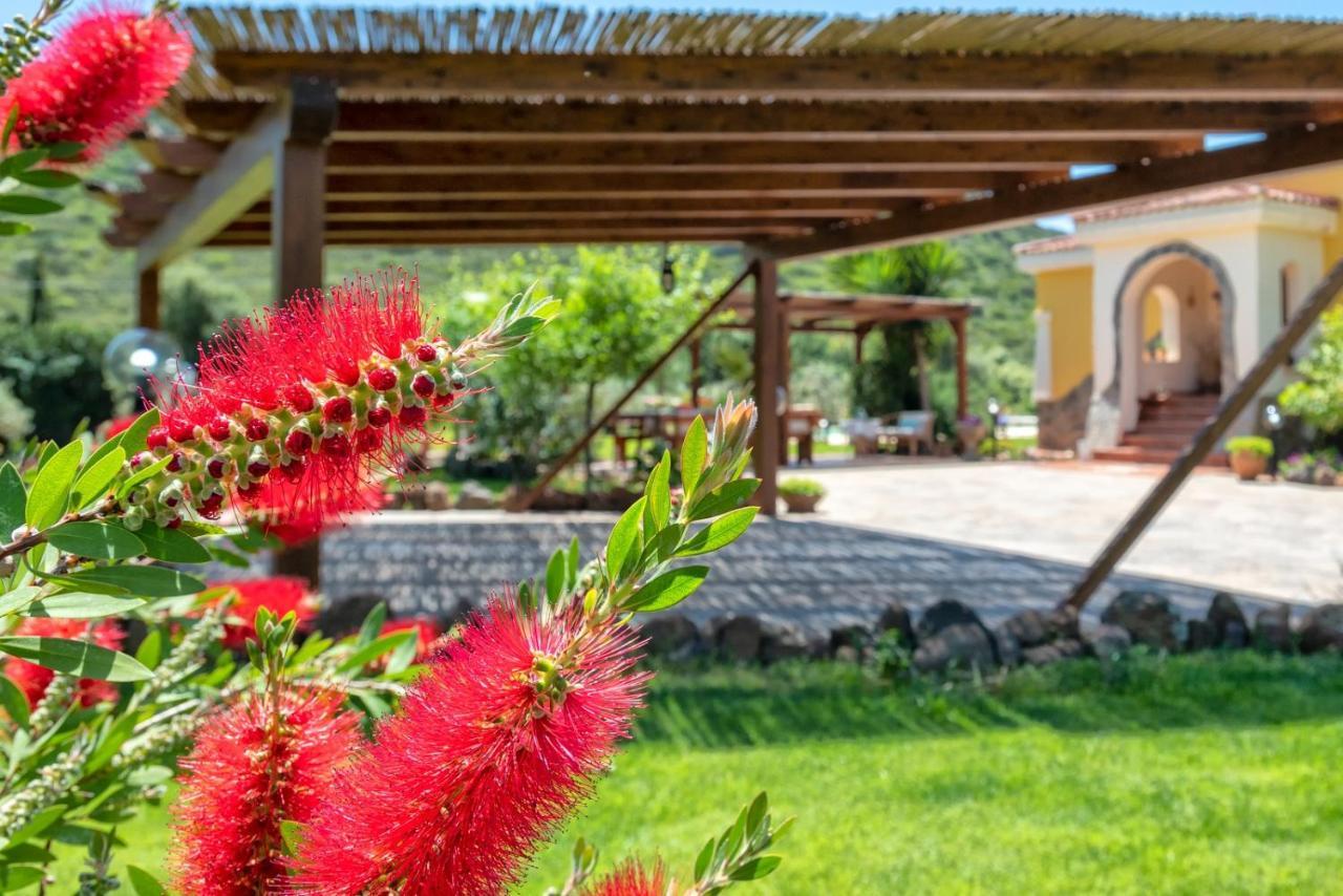 Villa Saige , Piscina Ad Uso Esclusivo, Con Idromassaggio Alghero Bagian luar foto
